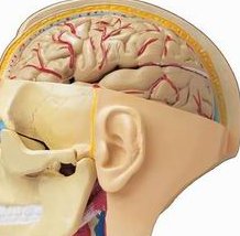 去泰国做NIC医院要多少钱试管婴儿