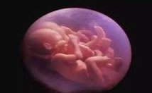 2026年山东大学齐鲁医院三代试管技术怎么样？成功率能有多少？