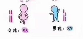 江苏苏州试管婴儿哪家强？这里告诉您