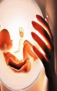 贵州遵义三代试管助孕公司有哪些？业务和费用明细介绍