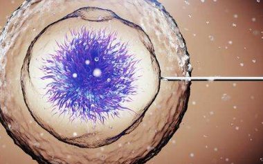 2026年拉拉去广西做精子试管可以吗？成功率有多高？